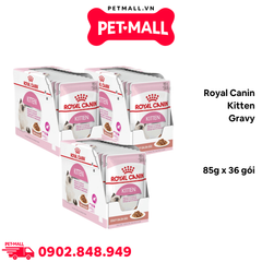 Combo Pate mèo Royal Canin Kitten Gravy 85g - 36 gói Petmall