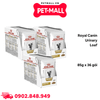 Combo 36 Gói 85G - Pate mèo Royal Canin Urinary Loaf - Trị sỏi bàng quang Petmall