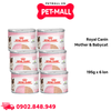 Combo 6 lon 195G - Pate mèo Royal Canin Mother & Babycat Petmall