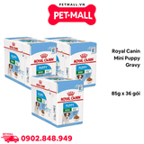 Combo Pate chó Royal Canin Mini Puppy Gravy 85g - 36 gói Petmall