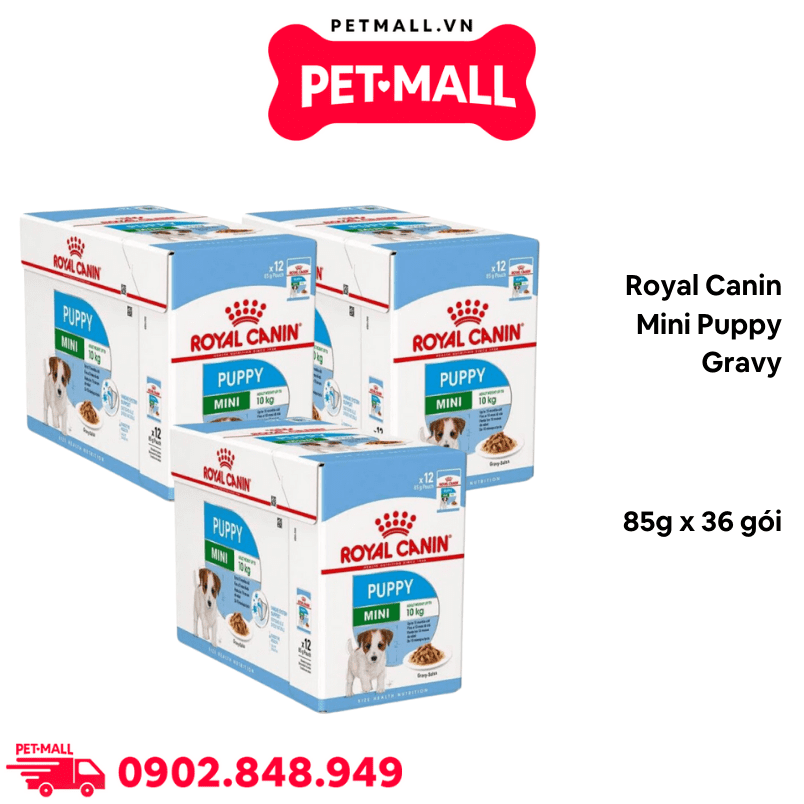 Combo Pate chó Royal Canin Mini Puppy Gravy 85g - 36 gói Petmall