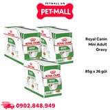 Combo 36 Gói 85G - Pate chó Royal Canin Mini Adult Gravy Petmall