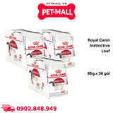 Combo 36 gói 85G - Pate mèo Royal Canin Instinctive Loaf Petmall