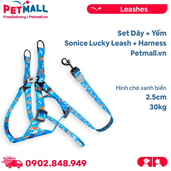 Set Dây + Yếm Sonice Lucky Leash + Harness 30kg - 2.5cm Hình chó xanh biển Petmall