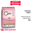 6KG - Thức ăn mèo Catsrang Kitten - Dành cho mèo còn, nhập Hàn Quốc Petmall