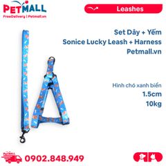 Set Dây + Yếm Sonice Lucky Leash + Harness 10kg - 1.5cm Hình chó xanh biển Petmall