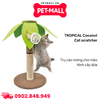 Đồ chơi TROPICAL Coconut Cat scratcher size - Trụ cào móng cho mèo hình cây dừa Petmall