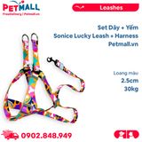 Set Dây + Yếm Sonice Lucky Leash + Harness 30kg - 2.5cm Loang màu  Petmall