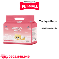 Tấm lót vệ sinh Today’s pads 40x50cm - 50 tấm Petmall