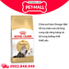 400G - Thức ăn mèo Royal Canin Persian Adult - Dành cho mèo Ba Tư Petmall