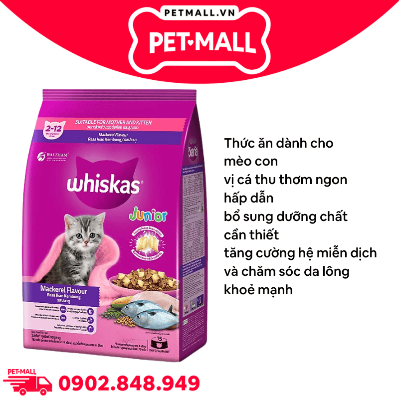 5.5KG - Thức ăn WHISKAS Mackerel Flavour Junior - Vị cá thu (cho mèo từ 2-12 tháng) Petmall