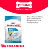 500G - Thức ăn chó Royal Canin Xsmall Puppy - Chó con giống nhỏ size X-Small Petmall