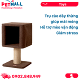 Trụ cào mini CattyMan Scratcher Cat Toys Size 50x28x28cm - Hỗ trợ mèo giảm căng thẳng Petmall