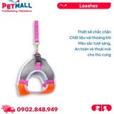 Set yếm + dây dắt thú cưng thoáng khí SONICE Harness Mix Color Petmall
