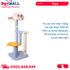 Trụ cào SONICE Fish & Flower Scratcher Cat Toys Size 48x48x115cm - Hình Cá và Hoa Petmall