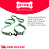 Set Dây + Vòng cổ Sonice Lucky Leash + Collar 30kg - 2.5cm Bơ xanh Petmall