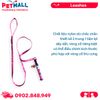 Set Dây + Vòng cổ Sonice Lucky Leash + Collar 5kg - 1cm Gấu dâu Petmall