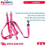 Set Dây + Yếm Sonice Lucky Leash + Harness 20kg - 2cm Gấu dâu Petmall