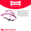 Set Dây + Vòng cổ Sonice Lucky Leash + Collar 10kg - 1.5cm Gấu dâu Petmall