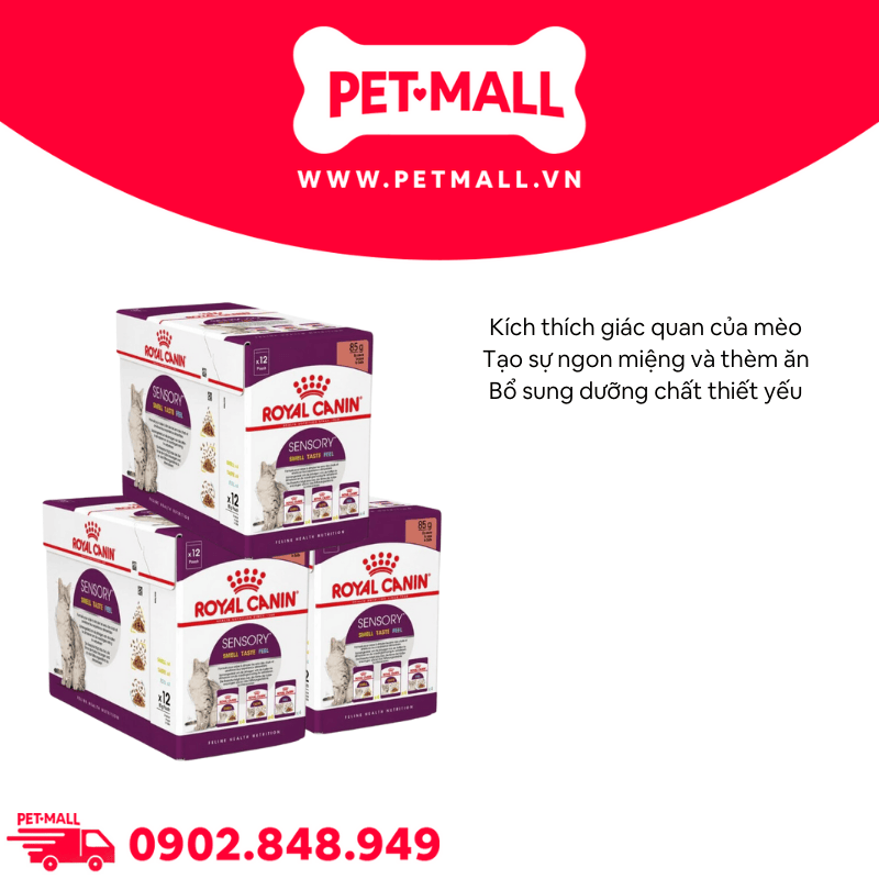 Combo Pate mèo Royal Canin Sensory Smelly, Taste, Feel in Gravy 85g - 36 gói Petmall