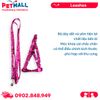 Set Dây + Yếm Sonice Lucky Leash + Harness 5kg - 1cm Gấu dâu Petmall