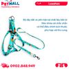 Set Dây + Yếm Sonice Lucky Leash + Harness 30kg - 2.5cm Hình chó mèo xanh lục Petmall