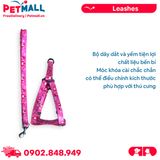 Set Dây + Yếm Sonice Lucky Leash + Harness 10kg - 1.5cm Gấu dâu Petmall
