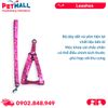 Set Dây + Yếm Sonice Lucky Leash + Harness 10kg - 1.5cm Gấu dâu Petmall