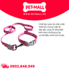 Set Dây + Vòng cổ Sonice Lucky Leash + Collar 30kg - 2.5cm Gấu dâu Petmall