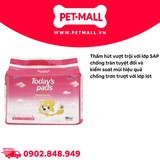 Tấm lót vệ sinh Today’s pads 40x50cm - 50 tấm Petmall