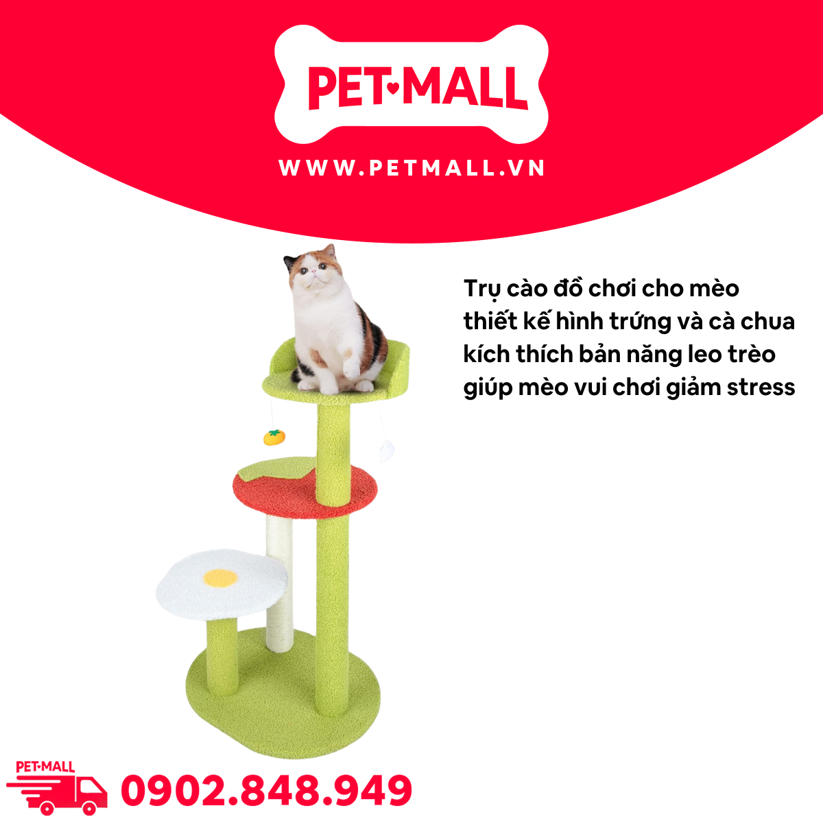 Trụ cào SONICE Egg and Tomato Cat Tree Scratcher Toys Size 48 x 48 x 115 cm - 4 tầng hình trứng và cà chua Petmall