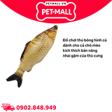 Đồ chơi thú bông hình cá in 3D Plush Pacific Petmall