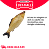 Đồ chơi thú bông hình cá in 3D Plush Pacific Petmall