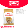 500G - Thức ăn chó Royal Canin Poodle Adult Petmall
