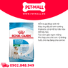 1KG - Thức ăn chó Royal Canin Mini Starter Mother & BabyDog - Chó mẹ mang thai & chó con < 2 tháng Petmall
