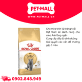 400G - Thức ăn mèo Royal Canin British Shorthair Adult Petmall