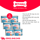 Combo 12 Lon 195G - Pate chó Royal Canin Mini Starter Mother & BabyDog - Chó mẹ mang thai & chó con < 2 tháng Petmall