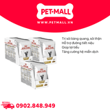 Combo 36 Gói 85G - Pate mèo Royal Canin Urinary Loaf - Trị sỏi bàng quang Petmall