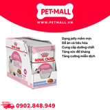 Hộp 12 Gói 85G - Pate mèo Royal Canin Kitten Jelly Petmall