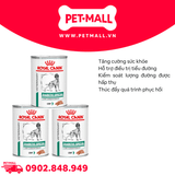 Combo Pate chó Royal Canin Diabetic Special Low Carbohydrate Loaf 410g - 3 lon - Hỗ trợ tiểu đường Petmall