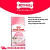 10KG - Thức ăn mèo Royal Canin KITTEN Petmall