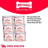 Combo 6 lon 195G - Pate mèo Royal Canin Mother & Babycat Petmall