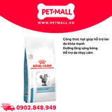 6KG - Thức ăn mèo Royal Canin Skin & Coat - Dưỡng da và lông Petmall