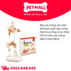 Đồ Chơi FOFOS Natural Wobbler Cat Toys Size 14x25cm - Bàn Cào Móng Lông Vũ Tự Nhiên Petmall