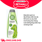Sữa tắm Groomer’s Salon Select Flea & Tick Shampoo 544ml - Hỗ trợ trị ve, bọ chét, tẩy da chết cho Chó trưởng thành Petmall