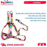 Set Dây + Yếm Sonice Lucky Leash + Harness 20kg - 2cm Loang màu Petmall