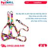 Set Dây + Yếm Sonice Lucky Leash + Harness 20kg - 2cm Loang màu Petmall