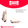Cần câu AFP Sock Cuddler Wand Mouse - Hình chiếc vớ, có catnip bên trong Petmall