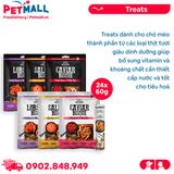 Combo Treats Absolute Holistic Liquid Puree Treat for Dogs & Cats 60g - 24 gói - Mix vị - Dạng kem, dành cho chó mèo Petmall