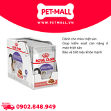 Hộp 12 Gói 85G - Pate mèo Royal Canin Sterilised Gravy Petmall